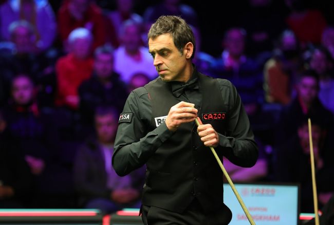 仅赢得了年 仅赢得了年